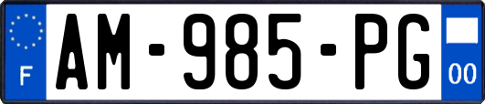 AM-985-PG