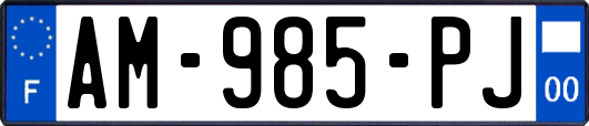 AM-985-PJ