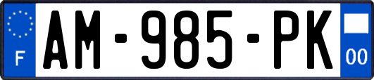 AM-985-PK