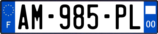 AM-985-PL
