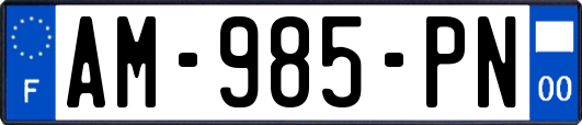 AM-985-PN