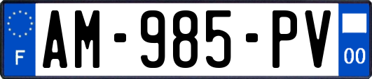 AM-985-PV