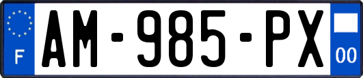 AM-985-PX