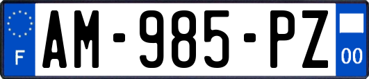 AM-985-PZ