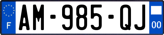 AM-985-QJ