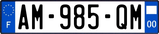 AM-985-QM