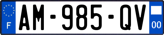 AM-985-QV