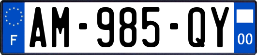 AM-985-QY