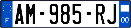 AM-985-RJ
