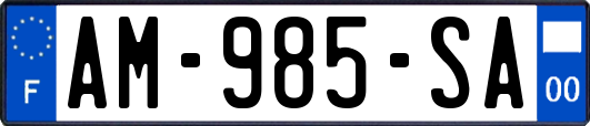 AM-985-SA