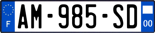 AM-985-SD