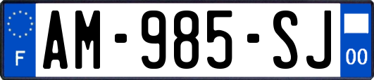 AM-985-SJ