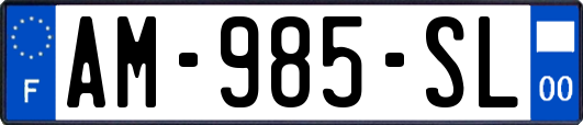 AM-985-SL