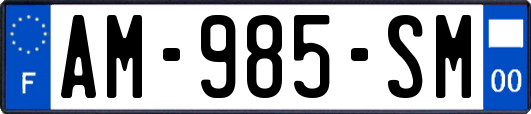 AM-985-SM