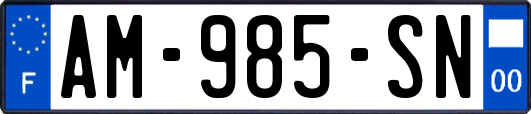 AM-985-SN