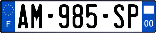 AM-985-SP