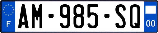 AM-985-SQ