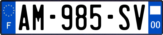 AM-985-SV