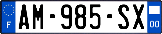 AM-985-SX