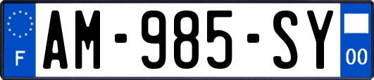 AM-985-SY