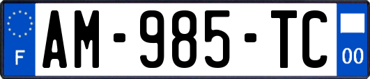 AM-985-TC