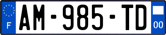 AM-985-TD