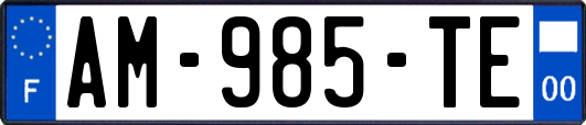 AM-985-TE