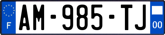 AM-985-TJ
