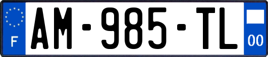 AM-985-TL