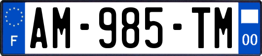 AM-985-TM