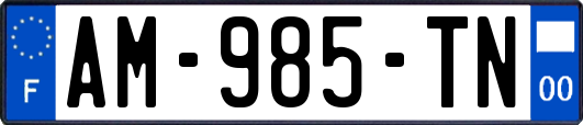 AM-985-TN