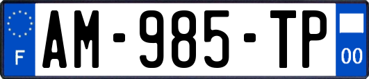 AM-985-TP