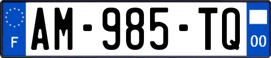 AM-985-TQ