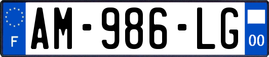 AM-986-LG