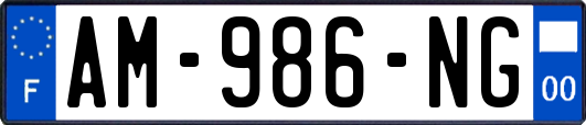 AM-986-NG