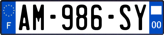 AM-986-SY