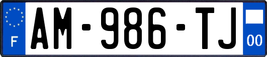 AM-986-TJ