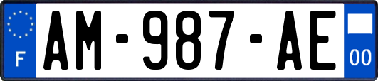 AM-987-AE