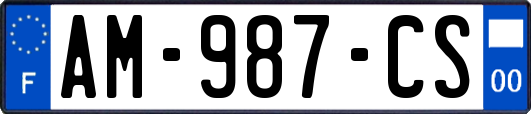 AM-987-CS