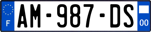 AM-987-DS