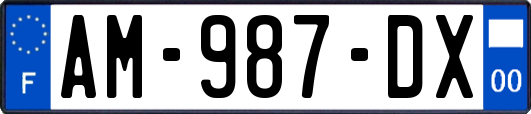 AM-987-DX