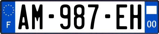 AM-987-EH
