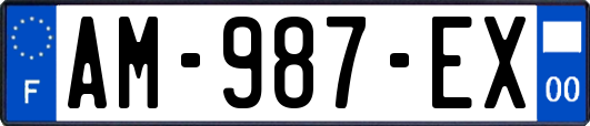 AM-987-EX