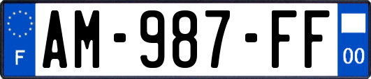 AM-987-FF