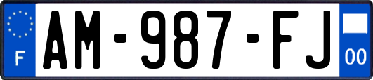 AM-987-FJ