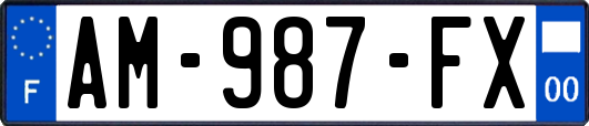 AM-987-FX