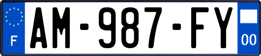 AM-987-FY