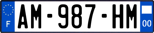 AM-987-HM