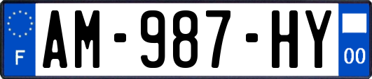 AM-987-HY