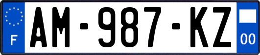 AM-987-KZ